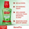 Colgate Plax Fresh Tea Alcohol-Free Mouthwash Bottle, 250ml - Image 3