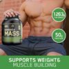 ON Serious Mass Weight Gainer Powder, 6lbs (Chocolate) - Image 12
