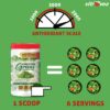Vitrovea Amazing Greens Powder, 300gm - Image 9