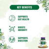 Pure Nutrition Digestive Enzymes capsule, 60caps - Image 4