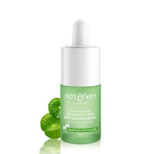 Dot & Key Cica and Cactus 2% Salicylic Acid+Zinc Skin Clearing Serum, 20ml